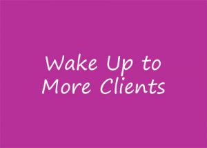 https://introvertedvisionary.com/category/wake-up-to-more-clients/